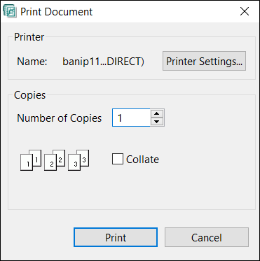 Print Document